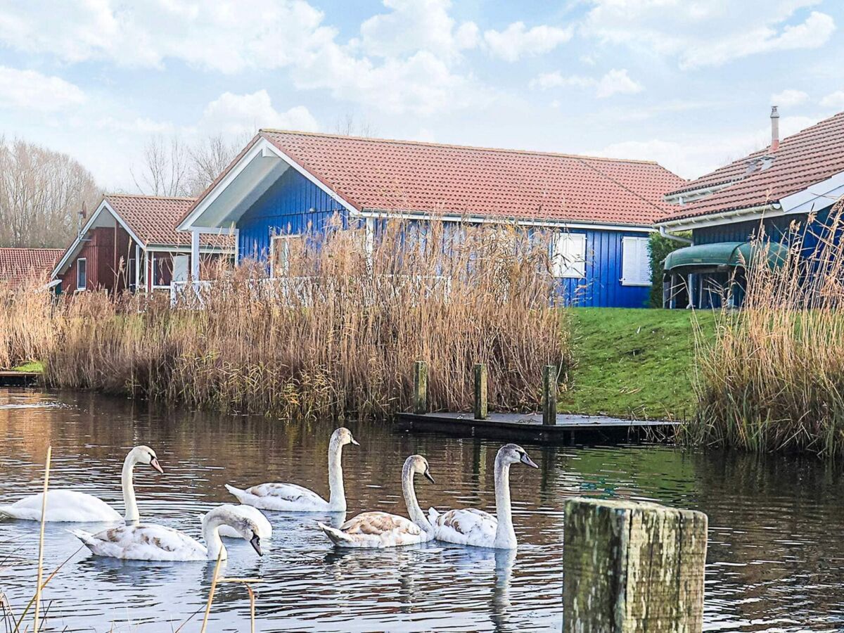 Holiday house 4 Sterne Ferienhaus in Ottendorf