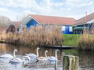 Holiday house 4 Sterne Ferienhaus in Ottendorf in Cuxhaven Region - Holiday house
