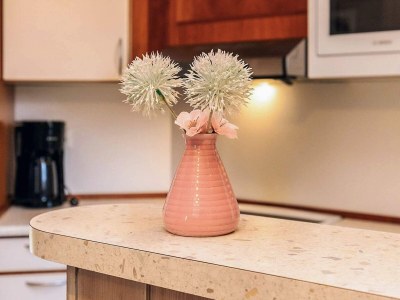 Holiday house 4 Sterne Ferienhaus in Ottendorf - Outdoor photo 27