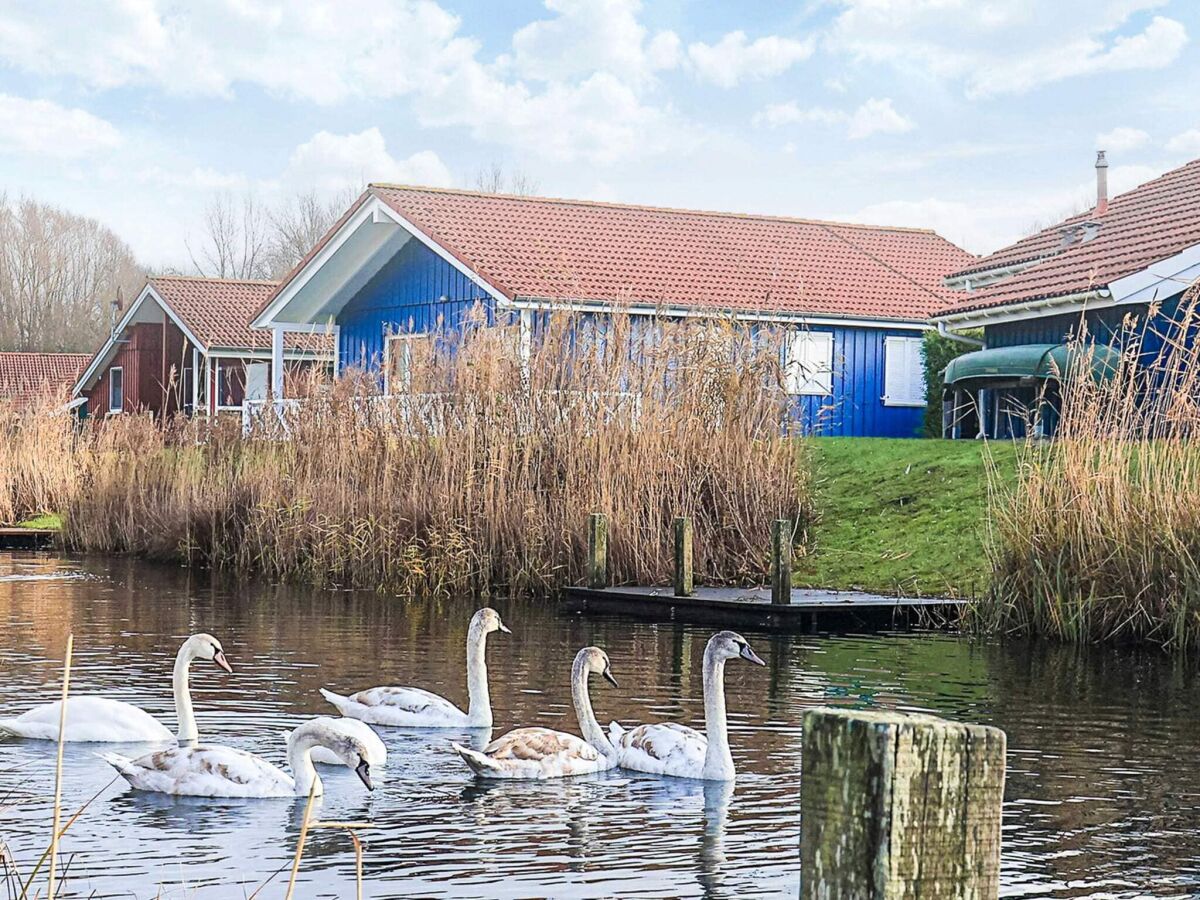 Holiday house 4 star holiday home in Ottendorf - Outdoor photo 4