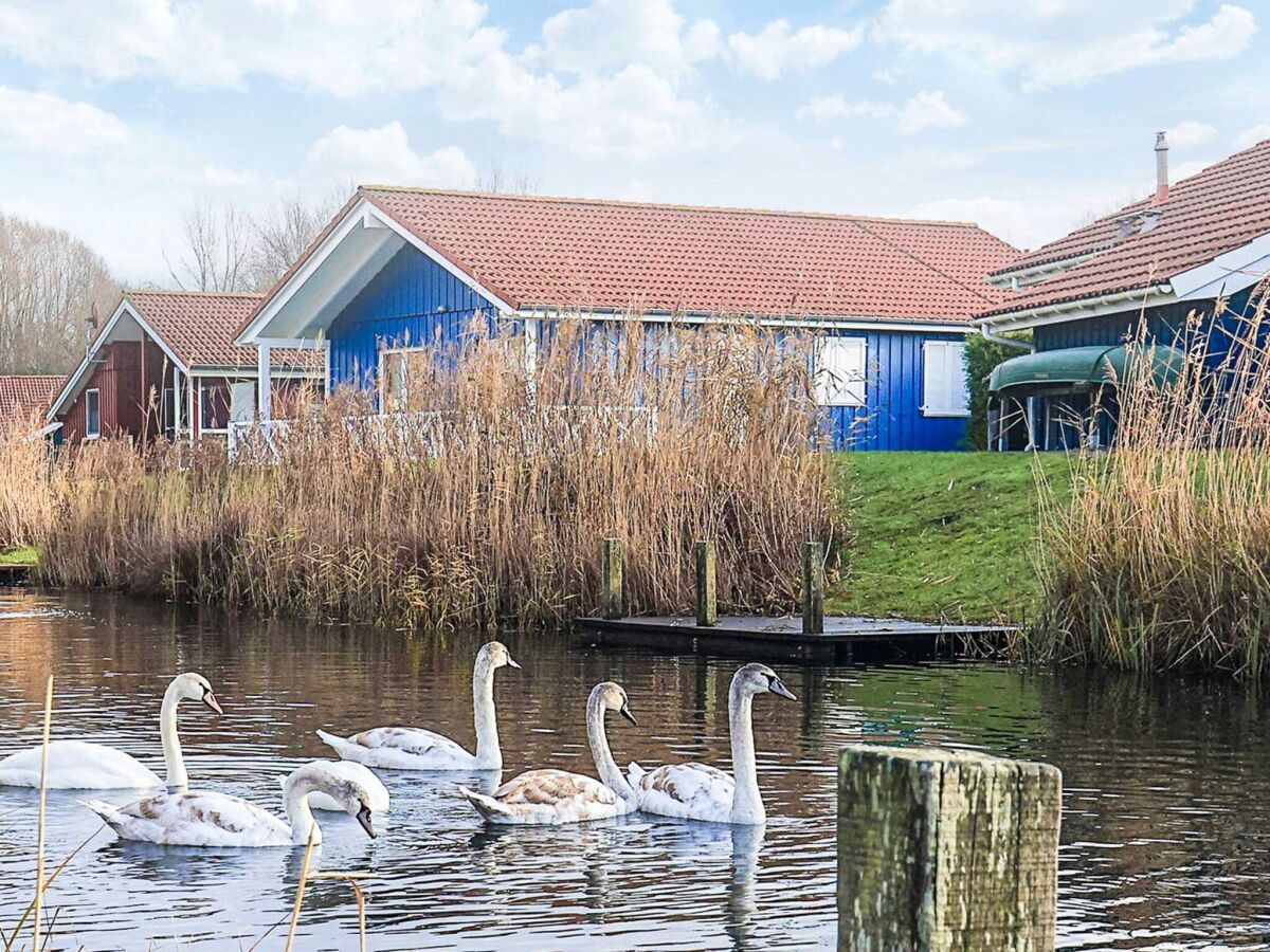 Holiday house 4 star holiday home in Ottendorf - Outdoor photo 3