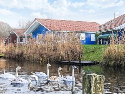 Holiday house 4 star holiday home in Ottendorf - Outdoor photo 3