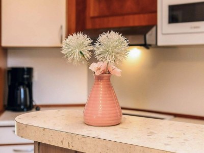 Holiday house 4 star holiday home in Ottendorf - Outdoor photo 41