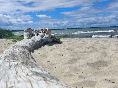 Holiday house 4 Sterne Ferienhaus in Korsør - Outdoor photo 8