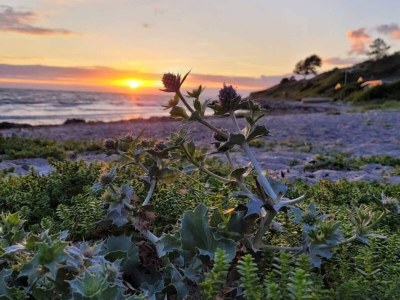 Holiday house 4 Sterne Ferienhaus in Korsør - Outdoor photo 13