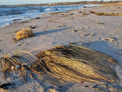 Holiday house 4 Sterne Ferienhaus in Korsør - Outdoor photo 21
