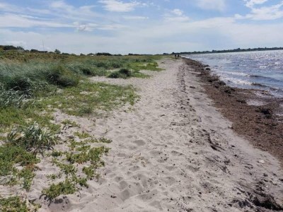 Holiday house 4 Sterne Ferienhaus in Korsør - Outdoor photo 25