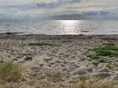 Holiday house 4 Sterne Ferienhaus in Korsør - Outdoor photo 30