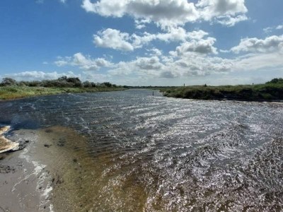 Holiday house 4 Sterne Ferienhaus in Korsør - Outdoor photo 35