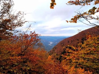 Holiday house Rustic Holiday Home, Ortignano - Environment photo 32