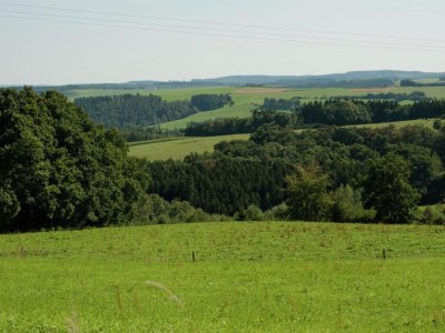 Holiday house Rustic Holiday Home, Ortignano - Environment photo 38