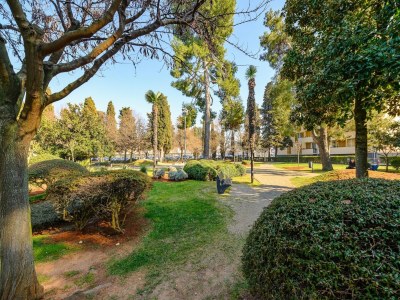 Apartment Premium-Apartment mit Terrasse - Outdoor photo 12