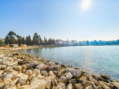 Apartment Premium-Apartment mit Terrasse - Environment photo 29