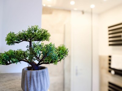 Holiday apartment Ferienwohnung 107 - Outdoor photo 7