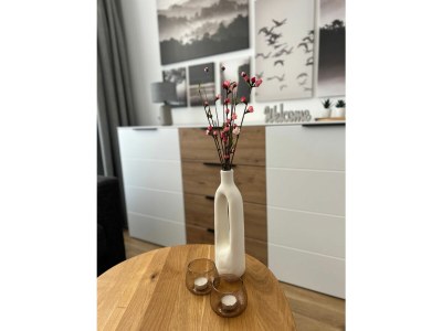 Holiday apartment Ferienwohnung 2.0.1 - Outdoor photo 11