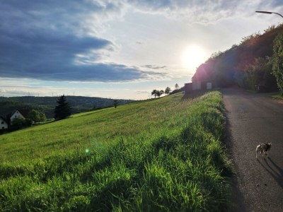 Apartment Gemütliche Ferienwohnung mit 3 Schlafzimmern - Outdoor photo 10