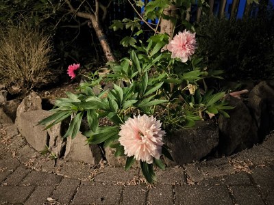 Apartment Gemütliche Ferienwohnung mit 3 Schlafzimmern - Features photo 35