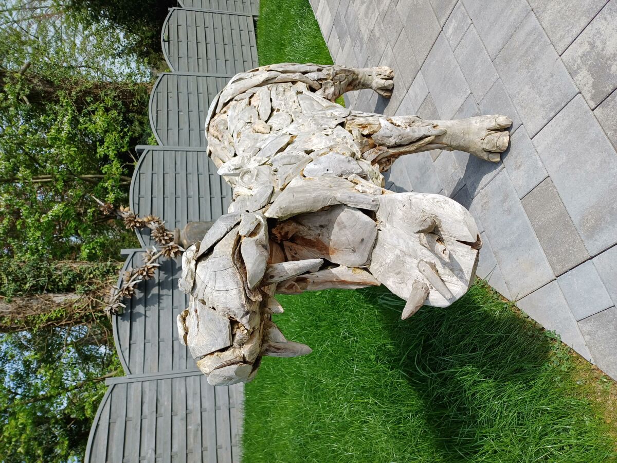 Apartment Wellness-Ferienwohnung in Horhausen - Outdoor photo 2