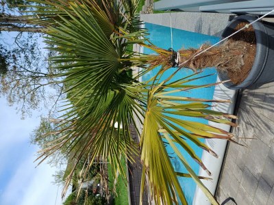 Apartment Wellness-Ferienwohnung in Horhausen in Horhausen - Apartment