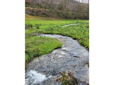 Apartment Wellness-Ferienwohnung in Horhausen - Outdoor photo 15