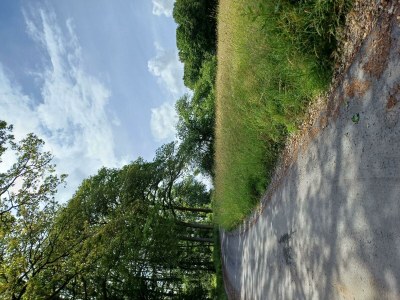 Apartment Wellness-Ferienwohnung in Horhausen - Outdoor photo 17