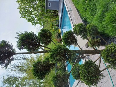 Apartment Wellness-Ferienwohnung in Horhausen - Features photo 40