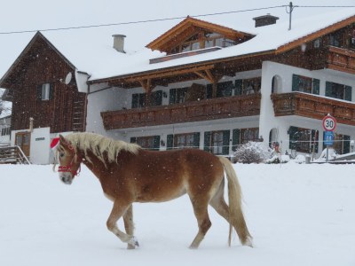 Holiday apartment Bergblick - Outdoor photo 7