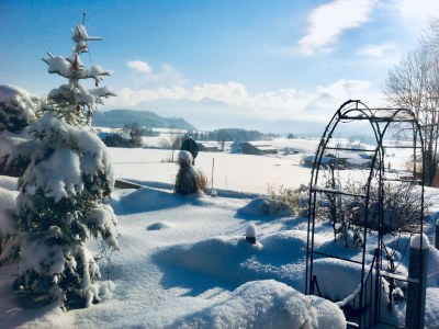 Holiday apartment Bergblick - Outdoor photo 8