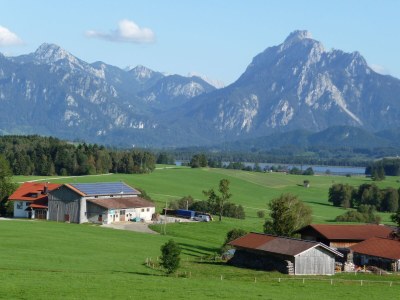 Holiday apartment Bergblick - Environment photo 14