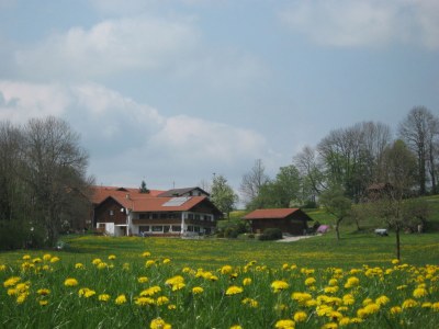Holiday apartment Bergblick - Environment photo 15