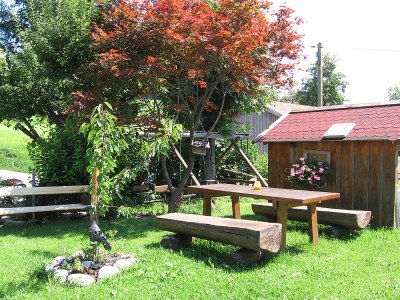 Holiday apartment Bergblick - Environment photo 16