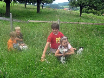 Holiday apartment Bergblick - Environment photo 19