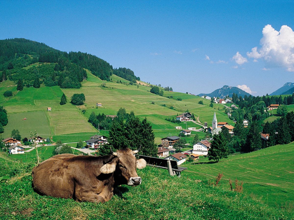 Holiday apartment Bischlag - Outdoor photo 2