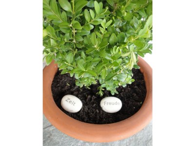 Holiday apartment Bischlag - Outdoor photo 6