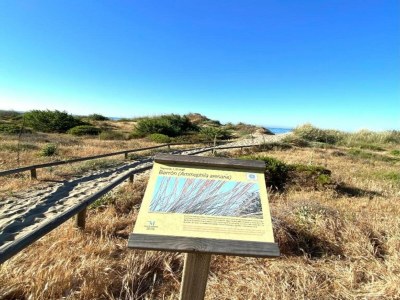 Apartment Apartment in Marbella near Costabella Beach - Environment photo 31