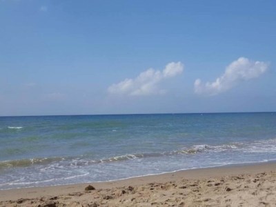 Apartment House in Marbella near Beaches - Environment photo 28