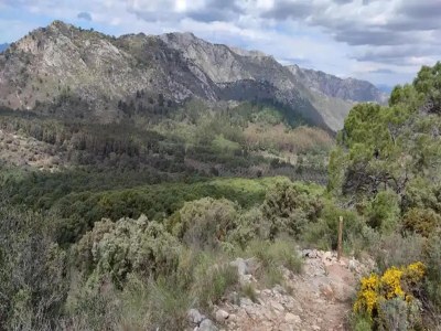 Apartment Sunny Terrace Apartment - Environment photo 19