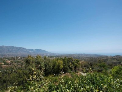 Apartment Sunny Terrace Apartment - Environment photo 24