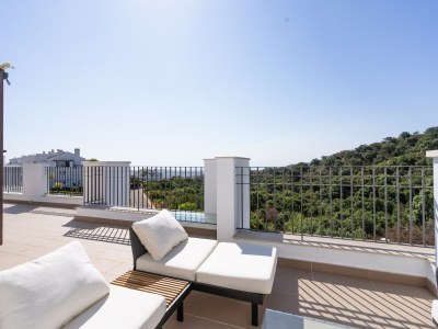 Apartment Sunny Terrace Apartment - Outdoor photo 33