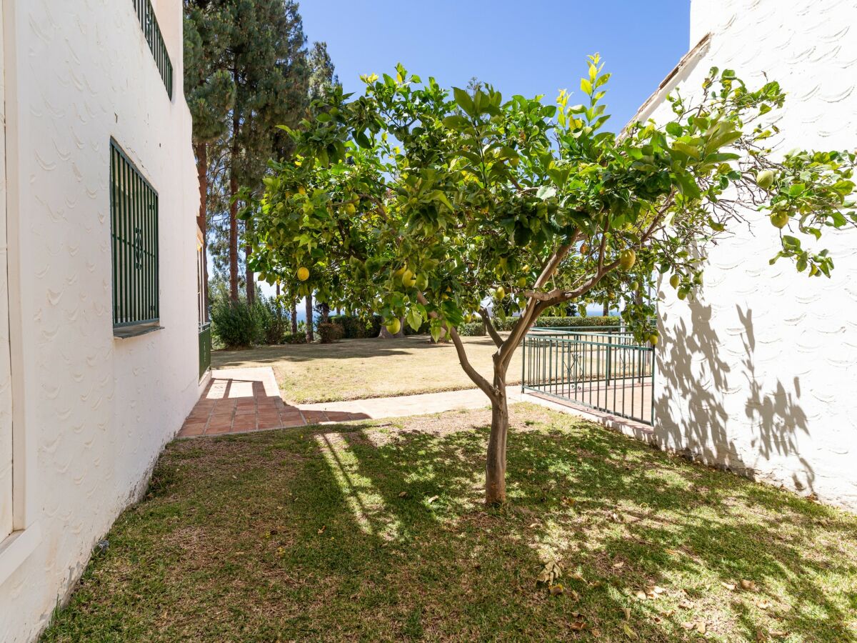 Apartment Apartment in Mijas Costa near Beaches - Outdoor photo 5