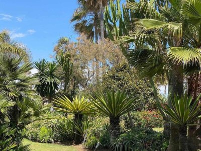 Apartment Studio in Estepona near Sandy Beach - Environment photo 18