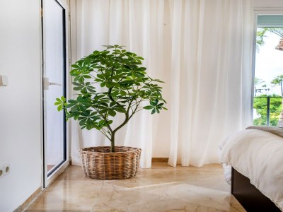 Apartment Aufenthalt am Meer mit Pool - Outdoor photo 37