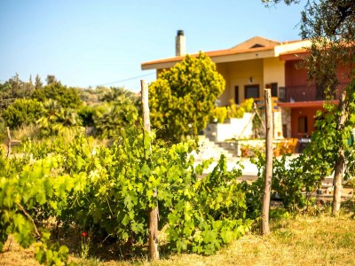 Holiday house Ferienhaus nahe Strand in Afandou - Outdoor photo 7