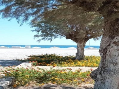 Holiday house Ferienhaus nahe Strand in Afandou - Environment photo 29