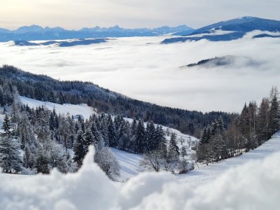 Holiday apartment Astrid 2 - Features photo 40