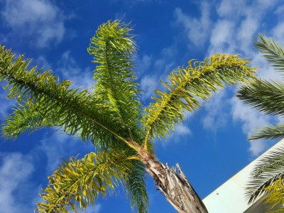 Holiday apartment Isla del Sol - Outdoor photo 6