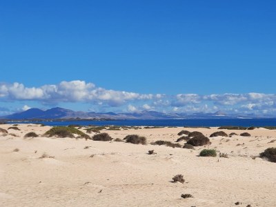 Holiday apartment Isla del Sol - Environment photo 28