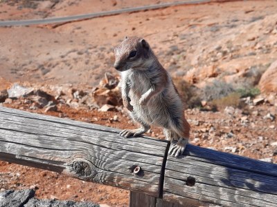 Holiday apartment Isla del Sol - Environment photo 31