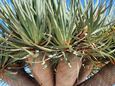 Holiday apartment Isla del Sol - Environment photo 33