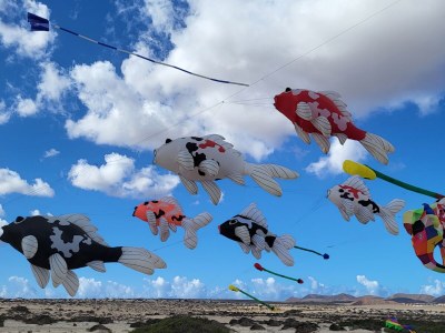 Holiday apartment Isla del Sol - Environment photo 35